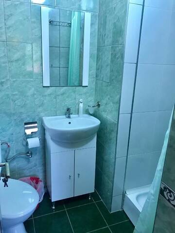 Фото номера Двухместный номер с 1 кроватью, вид на парк Дома для отпуска Vila La Izvor г. Petreşti 2