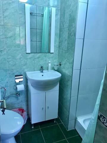 Фото номера Двухместный номер с 1 кроватью, вид на парк Дома для отпуска Vila La Izvor г. Petreşti 12