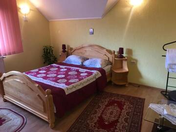 Фото номера Двухместный номер с 1 кроватью, вид на парк Дома для отпуска Vila La Izvor г. Petreşti 4
