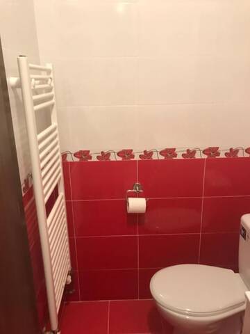 Фото номера Двухместный номер с 1 кроватью, вид на парк Дома для отпуска Vila La Izvor г. Petreşti 3