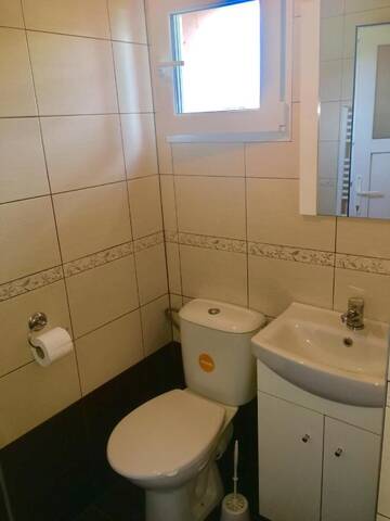 Фото номера Трехместный номер с видом на парк Дома для отпуска Vila La Izvor г. Petreşti 2